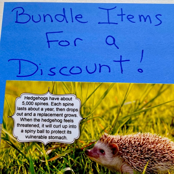 Bundle Bundle - Picture 1 of 1